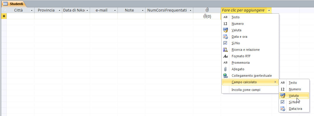 Figura 6: creare un campo calcolato di tipo Valuta 