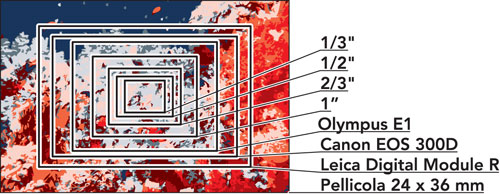 Figura 10: sensori di differenti dimensioni inquadrano differenti porzioni del normale fotogramma da 24 x 36 mm