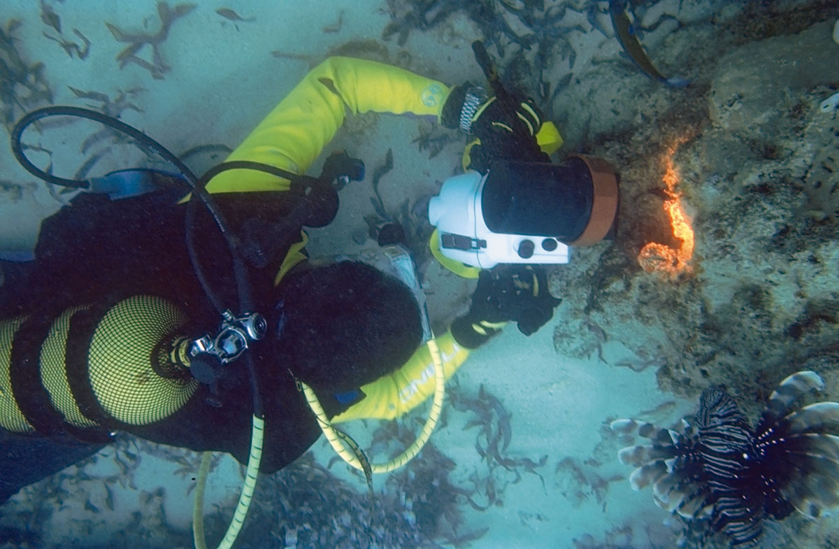 Figura 15: in questa foto si nota che l’operatore, munito di telecamera montata in una custodia in alluminio, sta riprendendo da distanza molto ridotta un pesce all’interno della sua tana. In queste situazioni occorre prestare molta attenzione affinché l’oblò, essendo la parte più esposta dell’apparecchiatura, non venga inavvertitamente appoggiato su rocce o coralli che potrebbero facilmente sfrisarlo