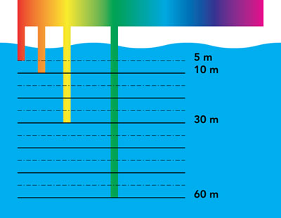 Figura 2: le varie componenti cromatiche della luce sono assorbite dall’acqua a profondità differenti. La componente rossa sparisce già dopo i primi 5 m