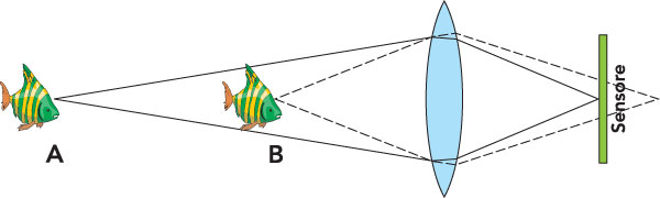 Figura 3: oggetti a distanze diverse dalla lente producano immagini che vanno a fuoco a distanze diverse