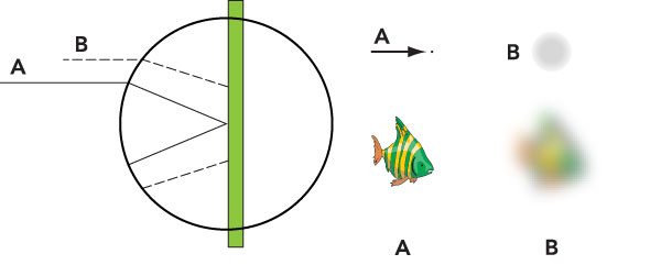 Figura 4: esaminando in dettaglio l’immagine precedente si comprende facilmente che dal pesce in “A” un punto qualsiasi viene portato sul sensore con precisione e nitidezza al contrario dei punti del pesce in “B”