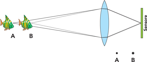 Figura 5: quando le distanze sono simili, i punti presi in esame arrivano molto nitidi se relativi al pesciolino nella posizione “A” e leggermente più sfocati se relativi a quello nella posizione “B”. È evidente, rispetto agli altri esempi, la maggiore nitidezza di “B”