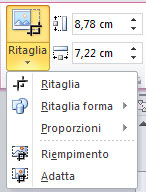 Figura 3: il menu del pulsante Ritaglia