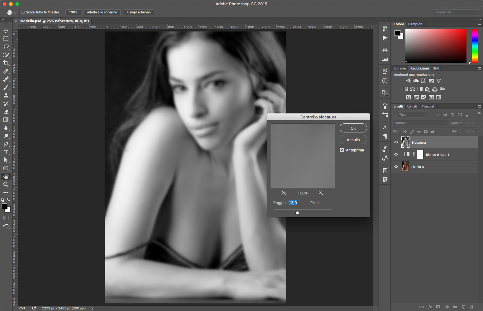 Figura 4: sul nuovo livello creato abbiamo applicato una sfocatura di 13 pixel utile per i nostri scopi