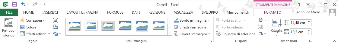 Figura 5: i comandi per la gestione dell’immagine