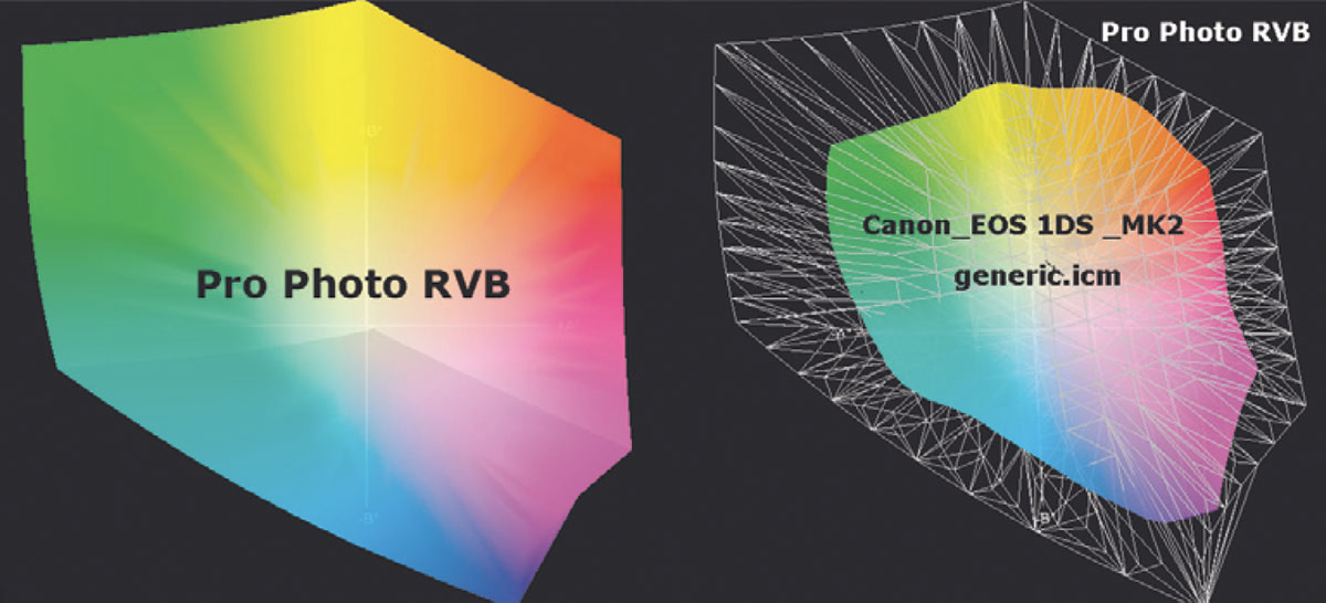 Figura 3: lo spazio Pro Photo RGB è, per dimensioni, destinato a essere utilizzato come spazio di lavoro per la conversione senza perdita dei valori cromatici di un profilo di un apparecchio fotografico digitale. Il profilo Canon_EOS 1Ds_MK2_generic.icm si colloca perfettamente nello spazio di lavoro Pro Photo (a destra)